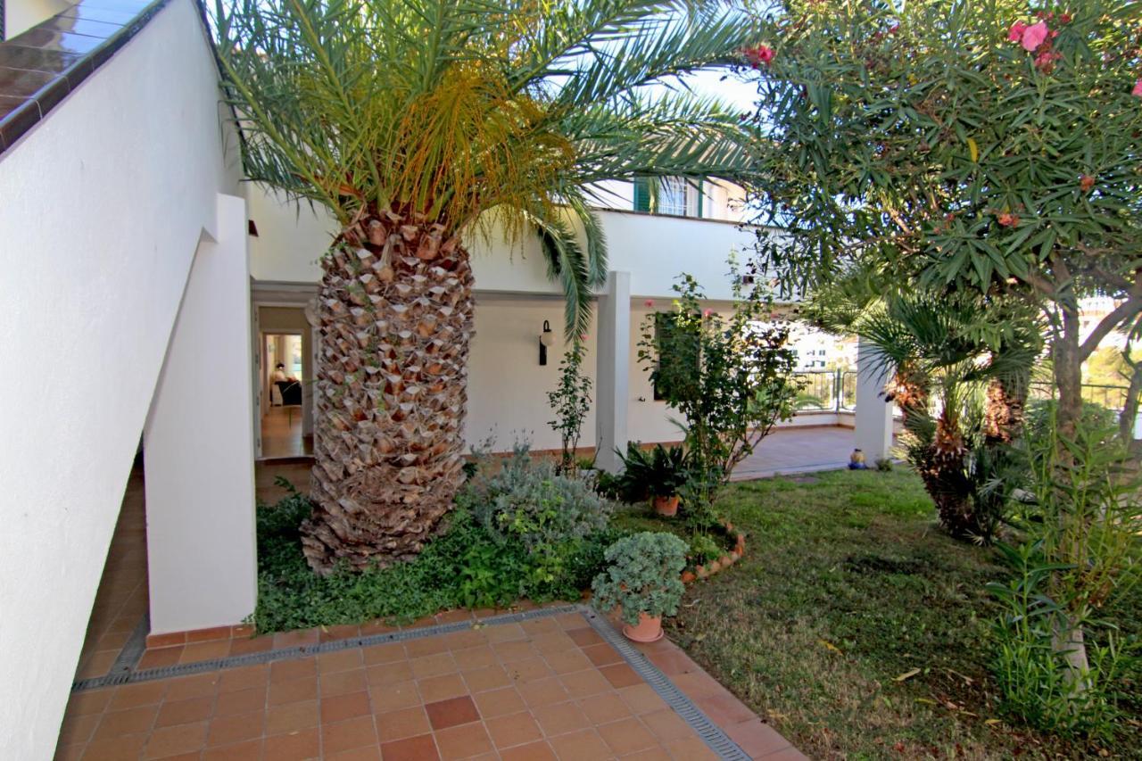 Apartament Viva - View