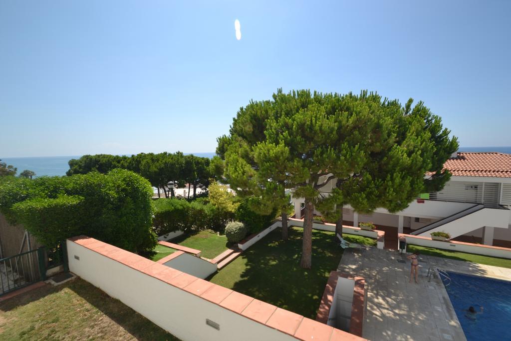 Apartament Viva - View